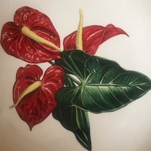 Meet your Posher, Brandy